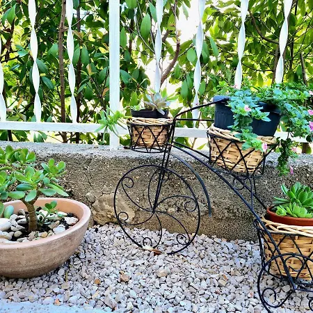 Ivana 브로다리카