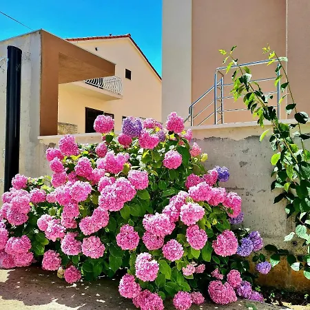 Apartament Ivana Brodarica (Sibenik-Knin)