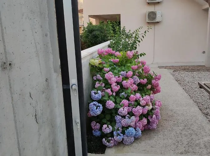 Ivana Appartement Brodarica (Sibenik-Knin)