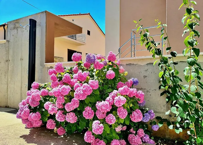 Apartman Ivana Brodarica (Sibenik-Knin)